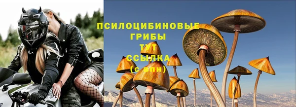 СК Алексеевка